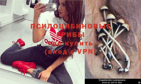 ALPHA PVP Белокуриха