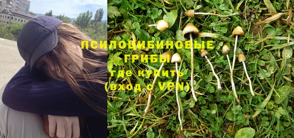 ALPHA PVP Белокуриха