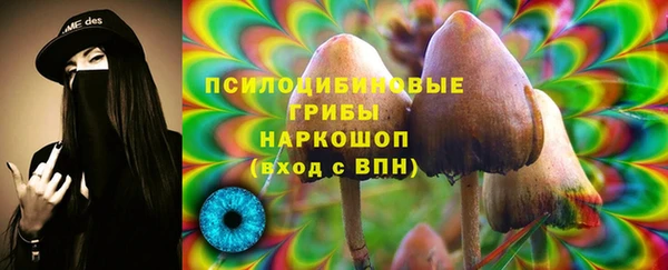 марки lsd Гусь-Хрустальный