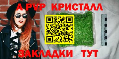 стаф Донской