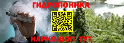 стаф Донской