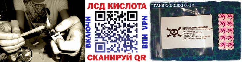 закладки  Буйнакск  Наркотические марки 1,8мг 