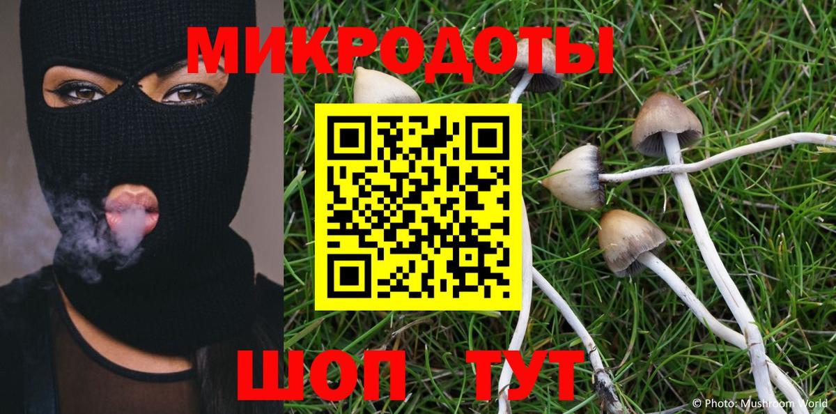 Галлюциногенные грибы мухоморы  Псилоцибиновые грибы Magic Shrooms  Буйнакск  Вход с VPN 